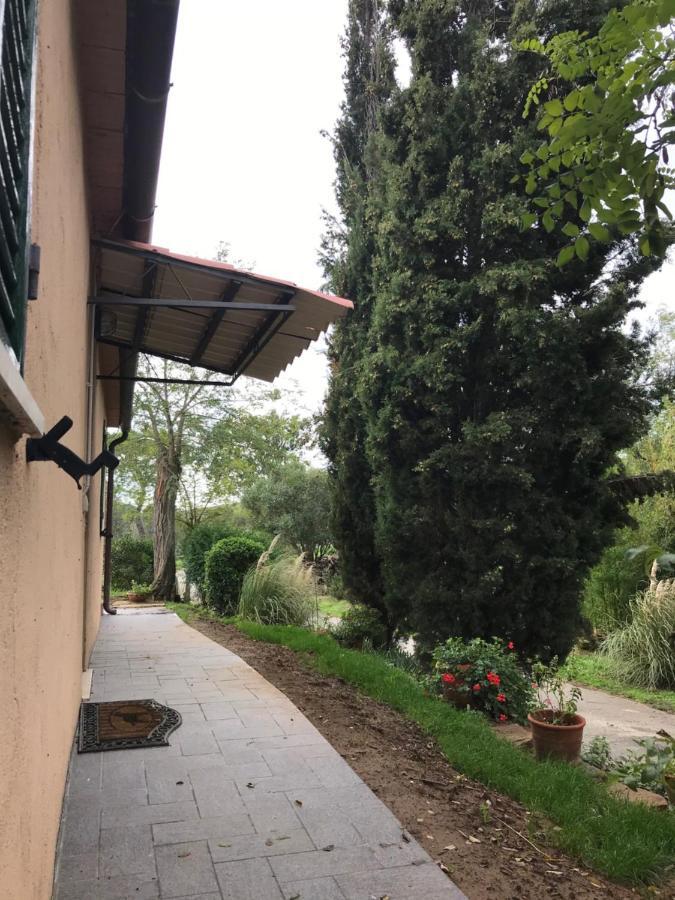 Podere Pini Magliano in Toscana Ngoại thất bức ảnh